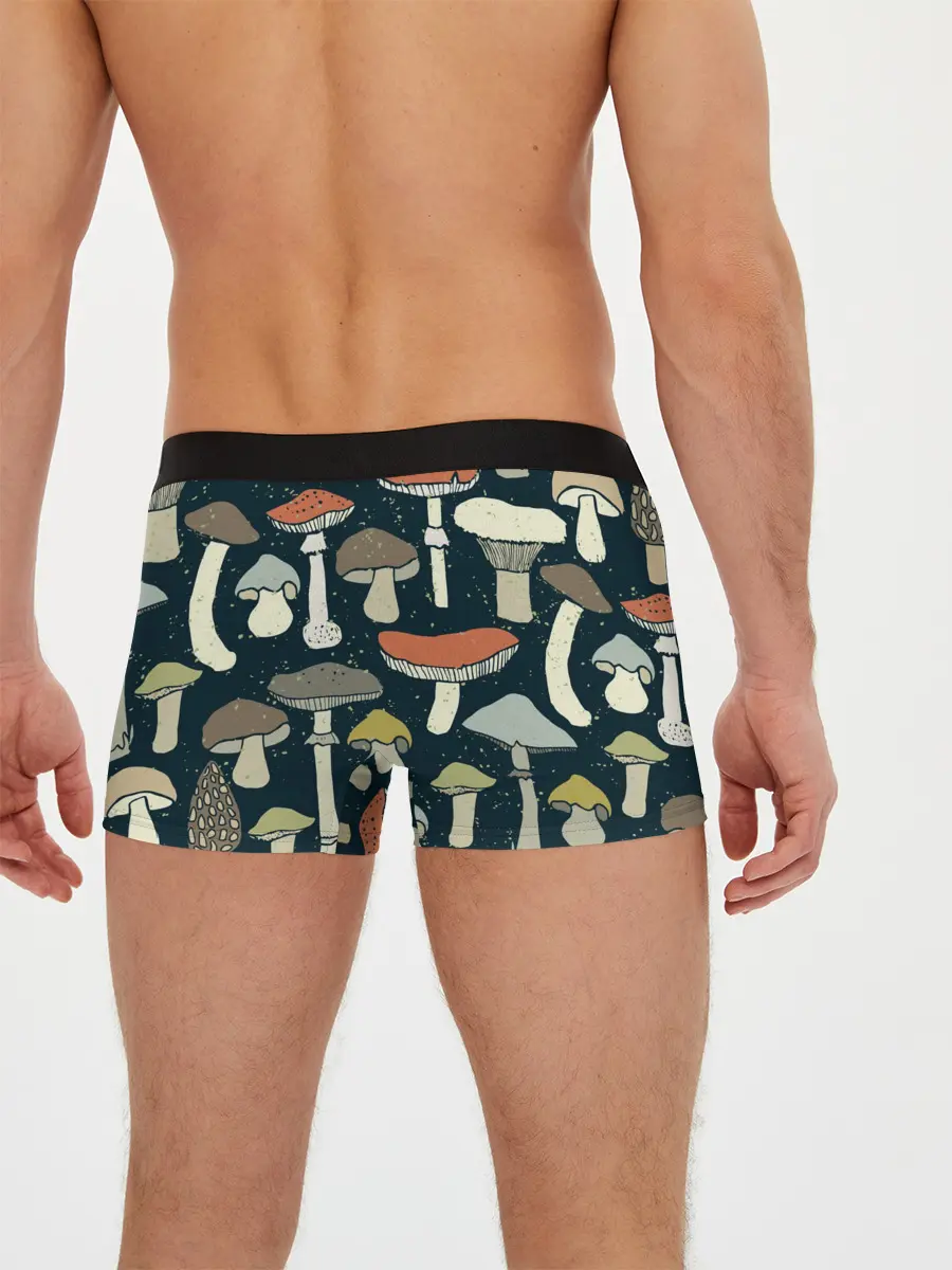 Мужские трусы боксеры / Загадочный лес