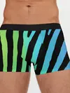 Мужские трусы боксеры / Радужная зебра