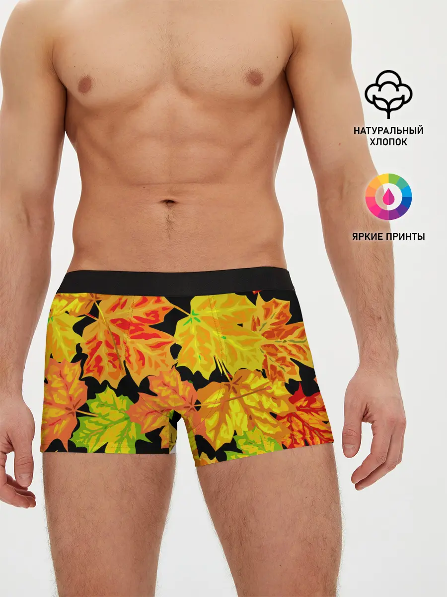 Мужские трусы боксеры / LEAF FALL / AUTUMN