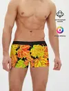 Мужские трусы боксеры / LEAF FALL / AUTUMN