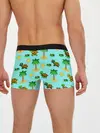 Мужские трусы боксеры / черепашки и пальмы