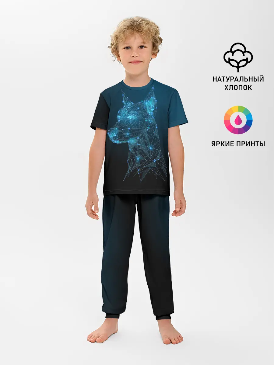 Детская пижама с брюками / Доберман