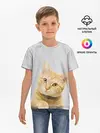Детская базовая футболка / Рыжий котик