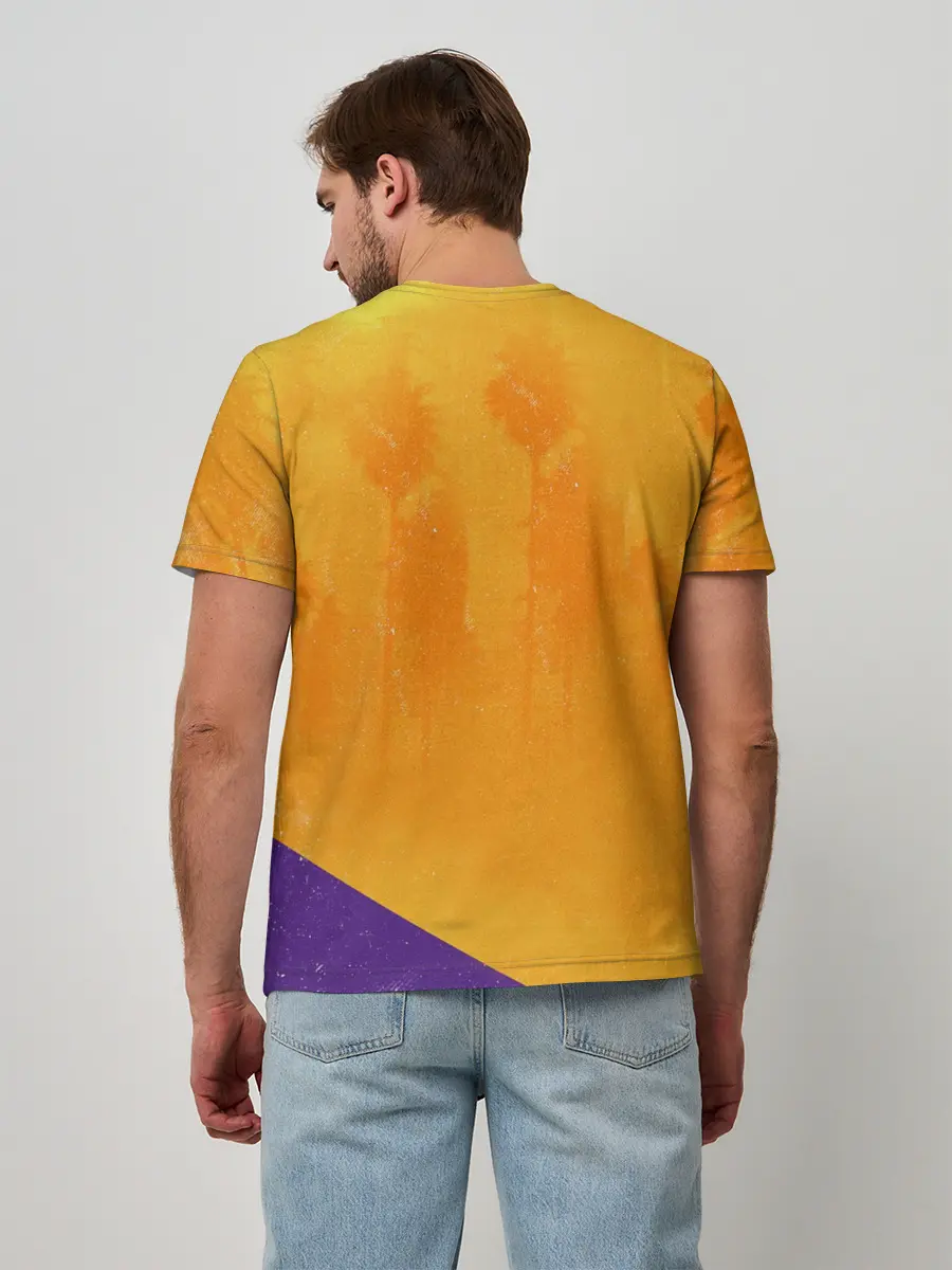 Мужская базовая футболка / Lebron