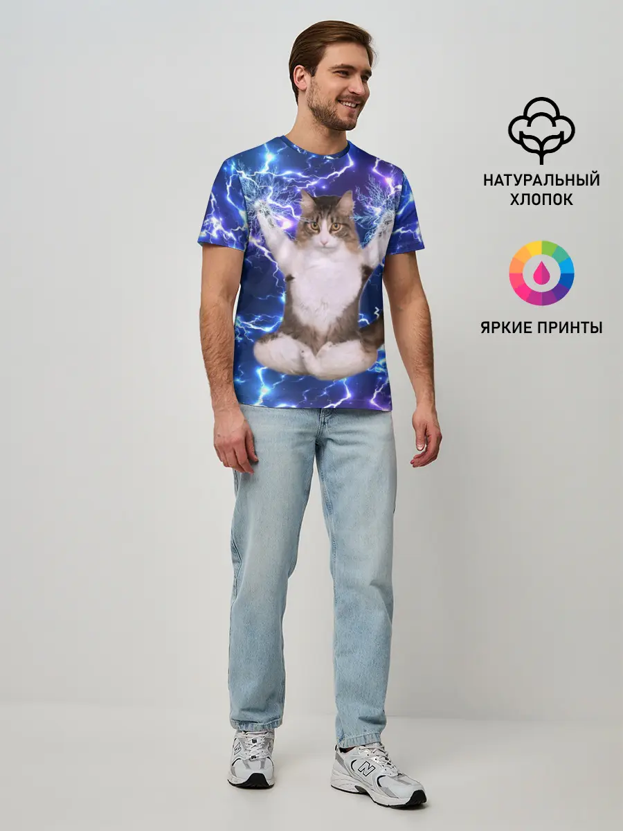 Мужская базовая футболка / Грозовой Котик