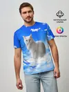 Мужская базовая футболка / Кот в облаках