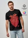 Мужская базовая футболка / Сердце Из Котиков