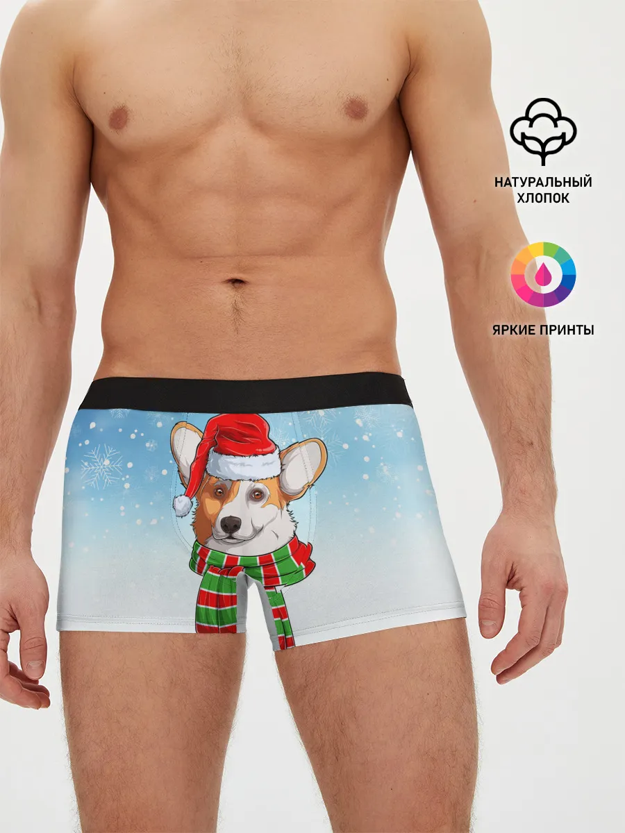 Мужские трусы боксеры / Новогодний Корги / New Years Corgi