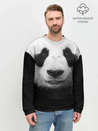 Мужской свитшот базовый / Панда