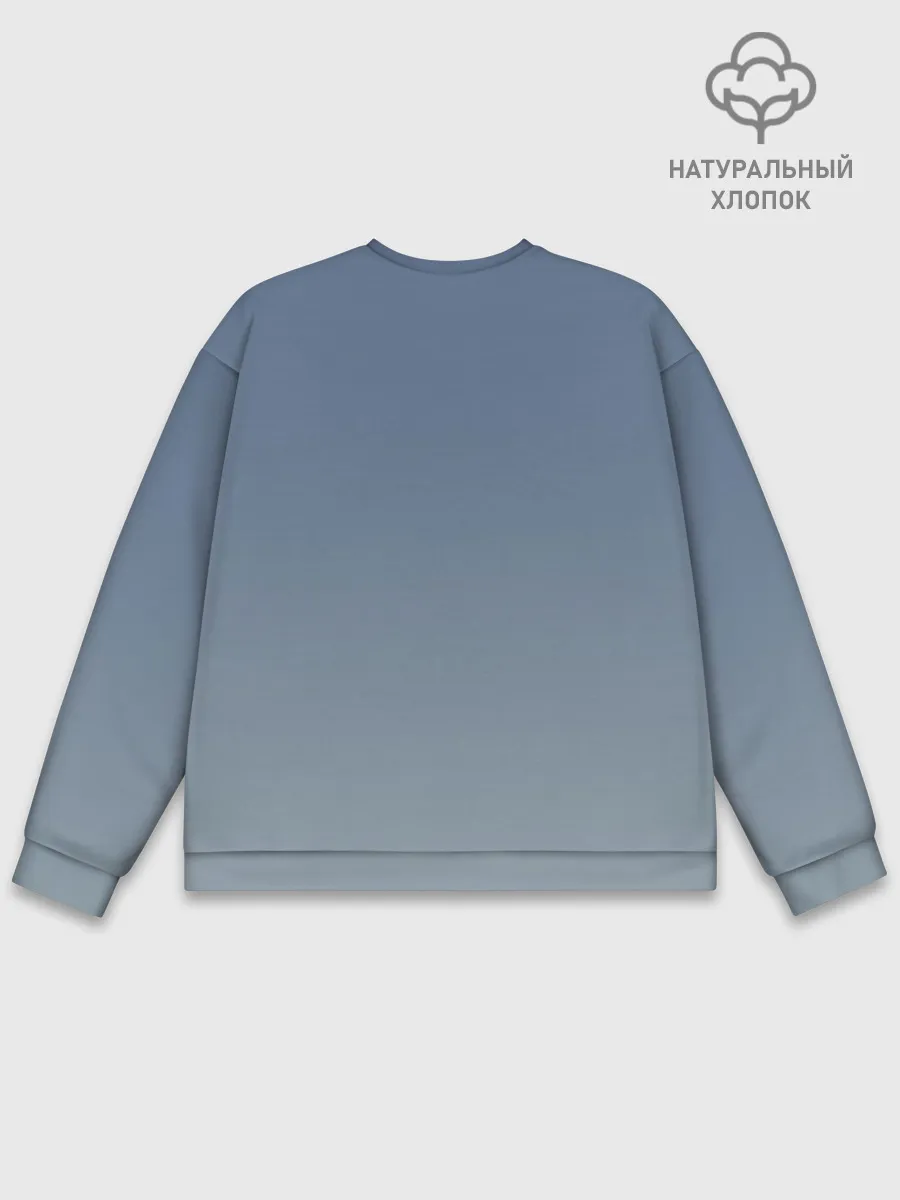 Мужской свитшот базовый / Самолёт