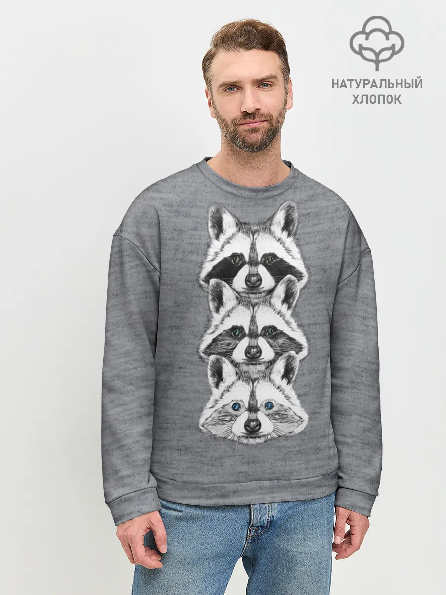 Мужской свитшот базовый / Еноты