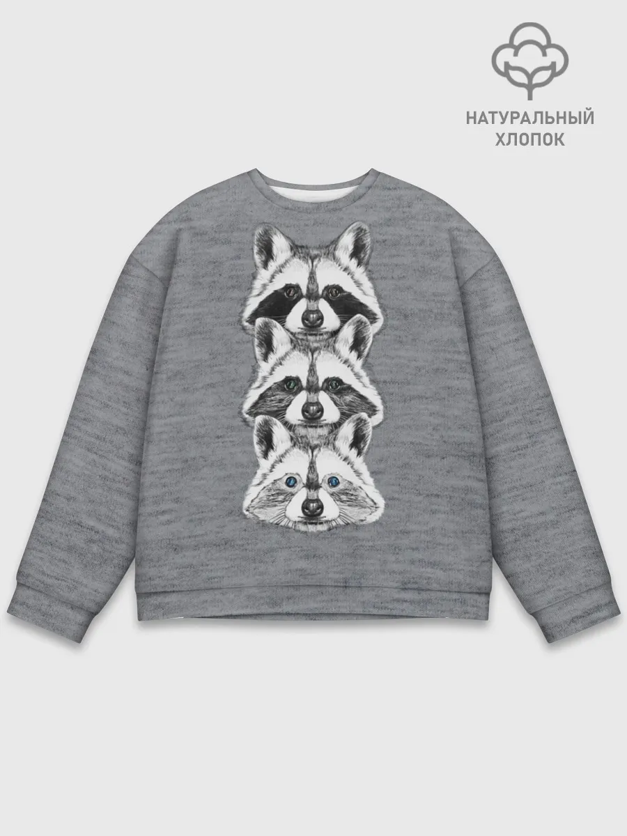 Мужской свитшот базовый / Еноты