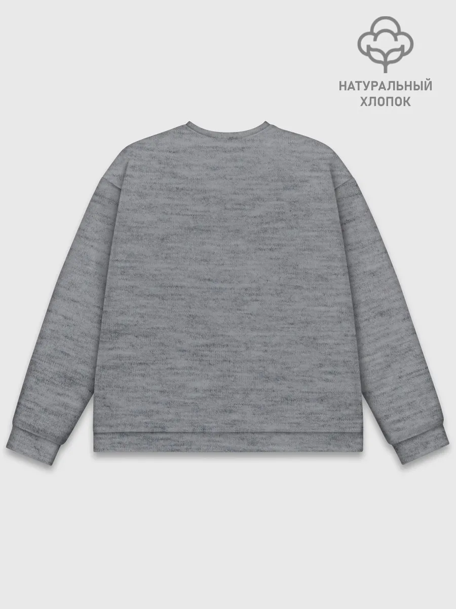 Мужской свитшот базовый / Еноты