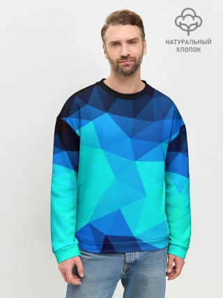 Мужской свитшот базовый / Pilygon