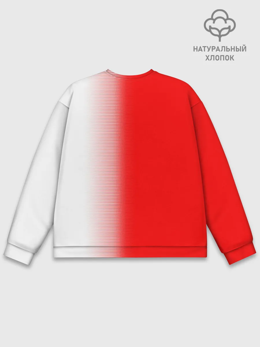 Мужской свитшот базовый / FC Bayern 2018 Original