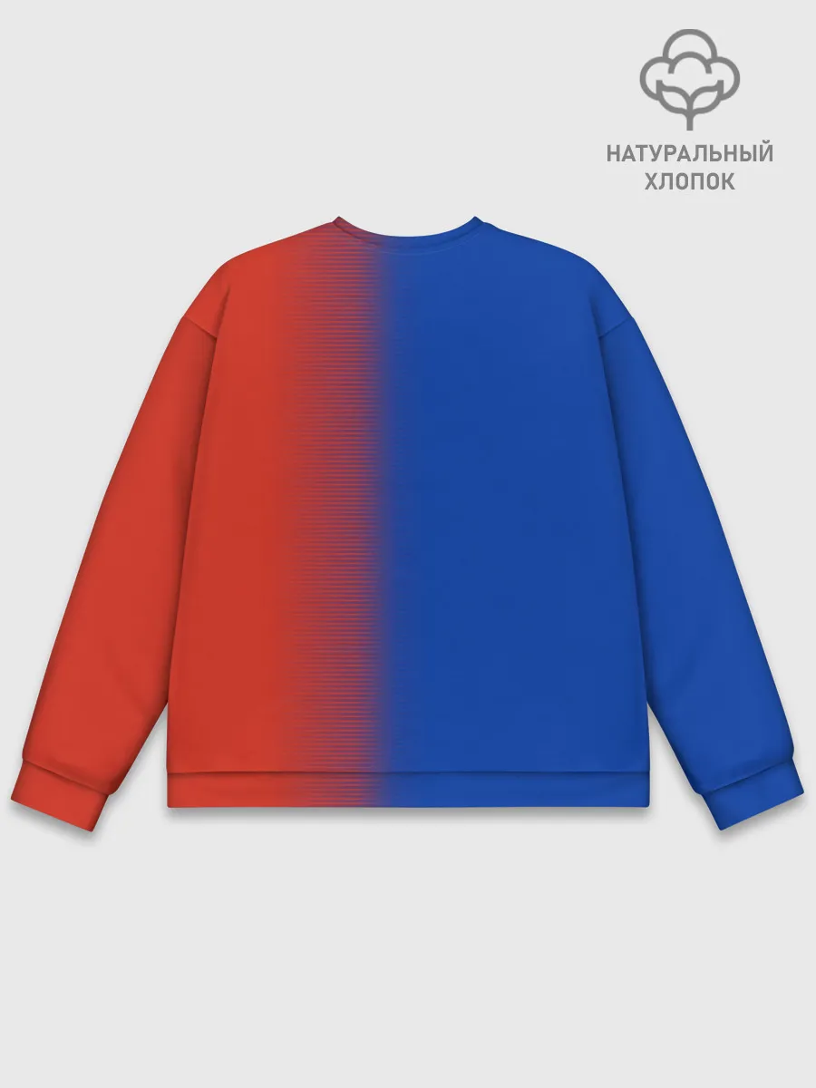 Мужской свитшот базовый / РОССИЯ | RUSSIA