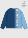 Мужской свитшот базовый / Manchester city 2018 o