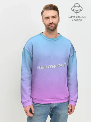 Мужской свитшот базовый / Мизантроп