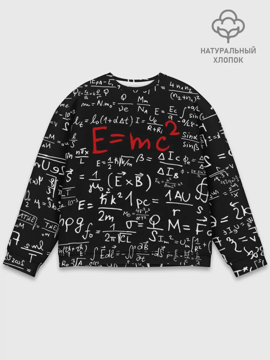 Мужской свитшот базовый / Формулы E=mc2
