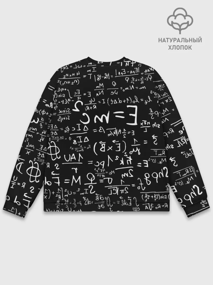 Мужской свитшот базовый / Формулы E=mc2