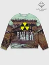 Мужской свитшот базовый / S.T.A.L.K.E.R КОЛЯ