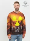 Мужской свитшот базовый / S.T.A.L.K.E.R Олег