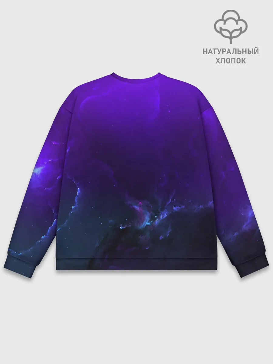 Мужской свитшот базовый / Alan Walker SPACE COLLECTION