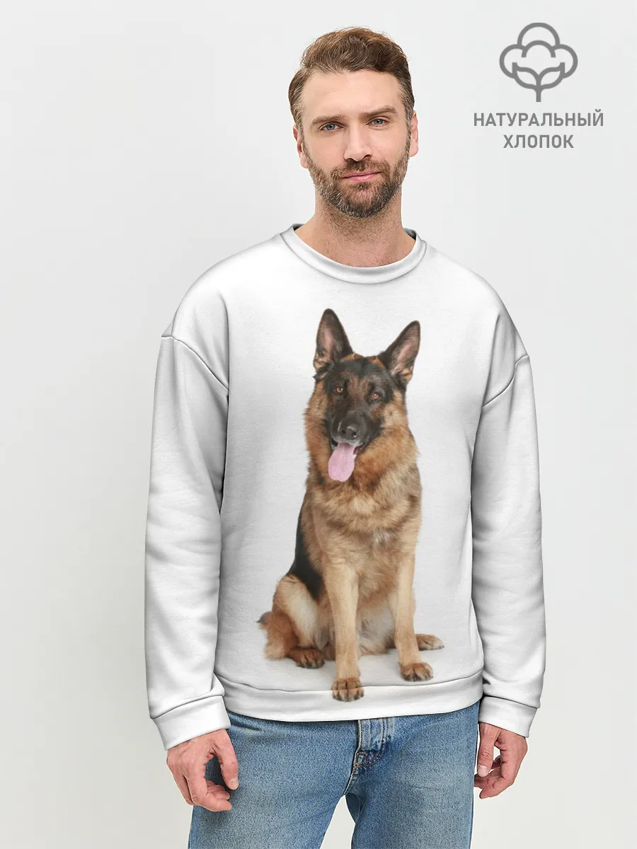 Мужской свитшот базовый / Верный друг