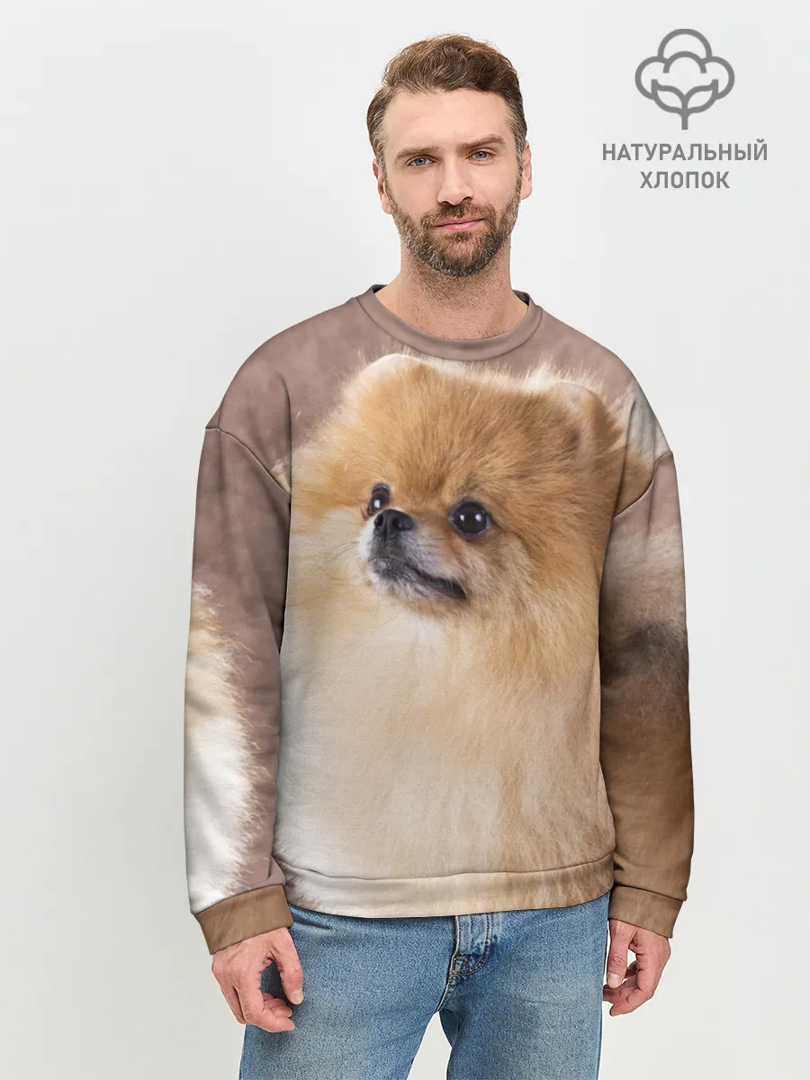 Мужской свитшот базовый / Шпитс