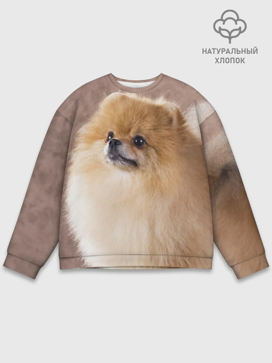 Мужской свитшот базовый / Шпитс