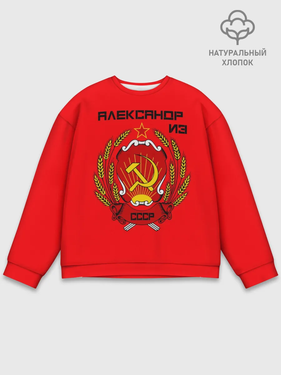 Мужской свитшот базовый / Александр из СССР