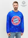 Мужской свитшот базовый / FC Bayern Munchen space 2018
