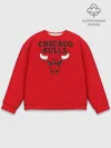 Мужской свитшот базовый / Chicago Bulls