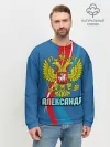 Мужской свитшот базовый / Герб Александр
