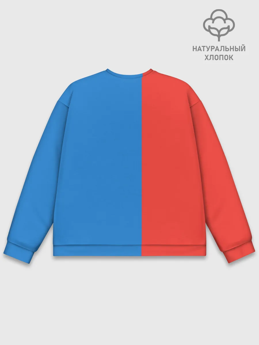 Мужской свитшот базовый / RUSSIA