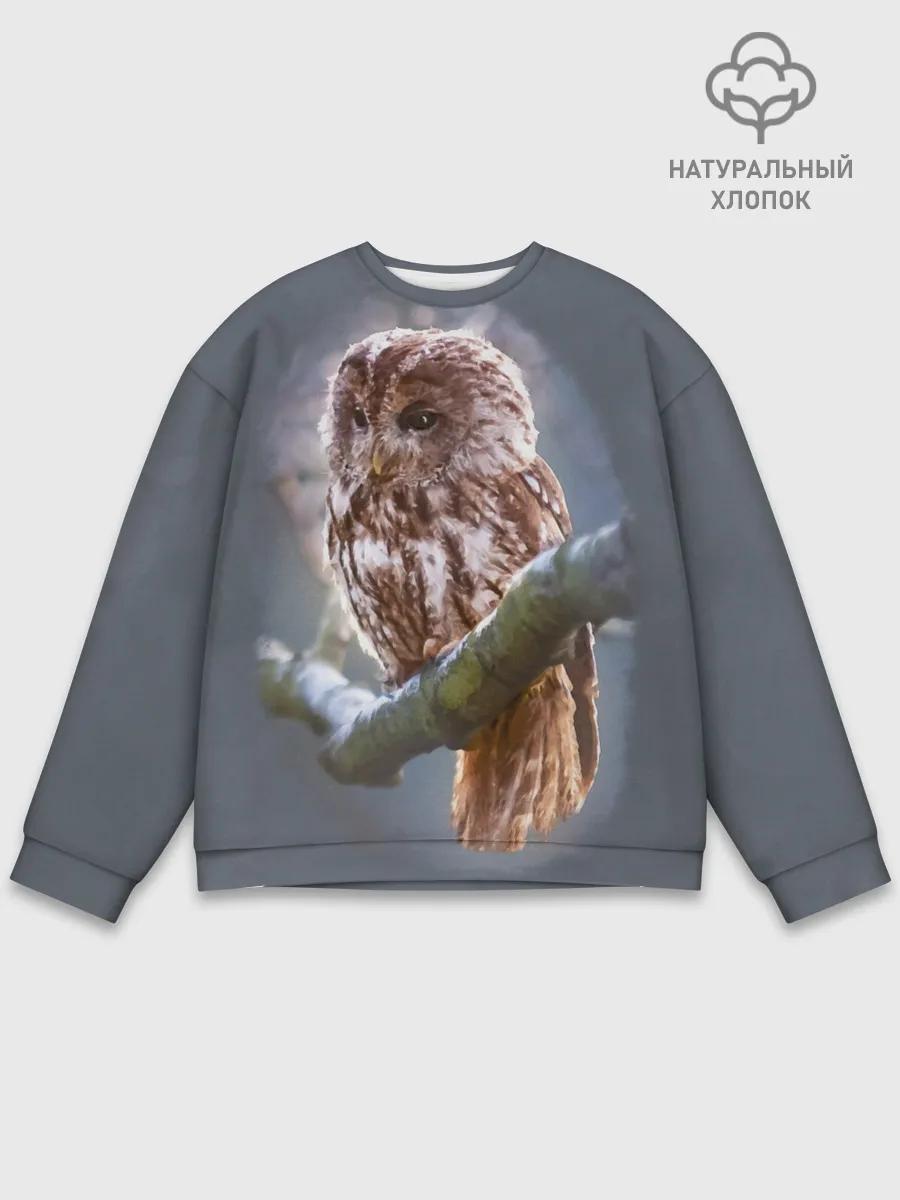 Мужской свитшот базовый / Сова