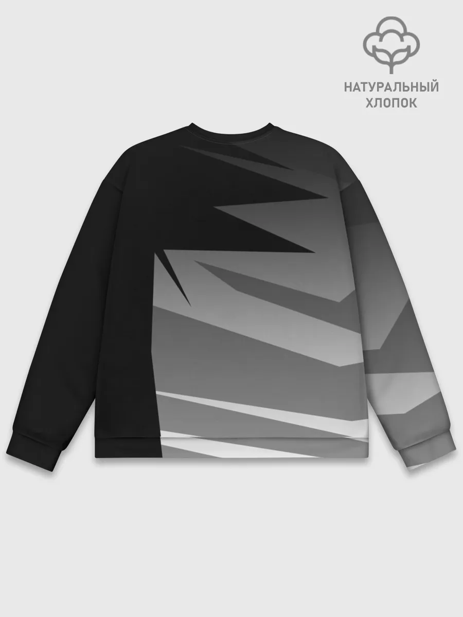 Мужской свитшот базовый / BMW GEOMETRY SPORT