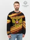 Мужской свитшот базовый / Russia collection