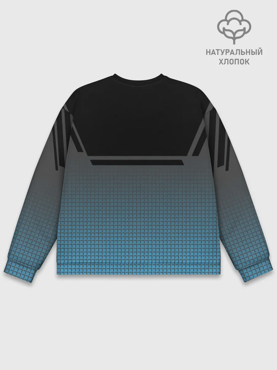 Мужской свитшот базовый / BMW SPORT