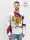 Мужской свитшот базовый / Россия Триколор
