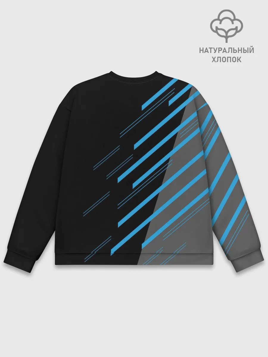 Мужской свитшот базовый / BMW SPORT