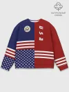 Мужской свитшот базовый / USA