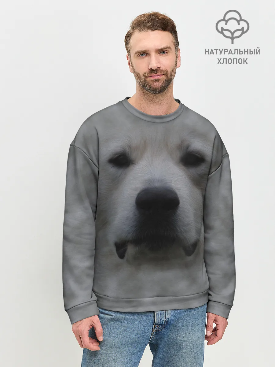 Мужской свитшот базовый / Лабрадор