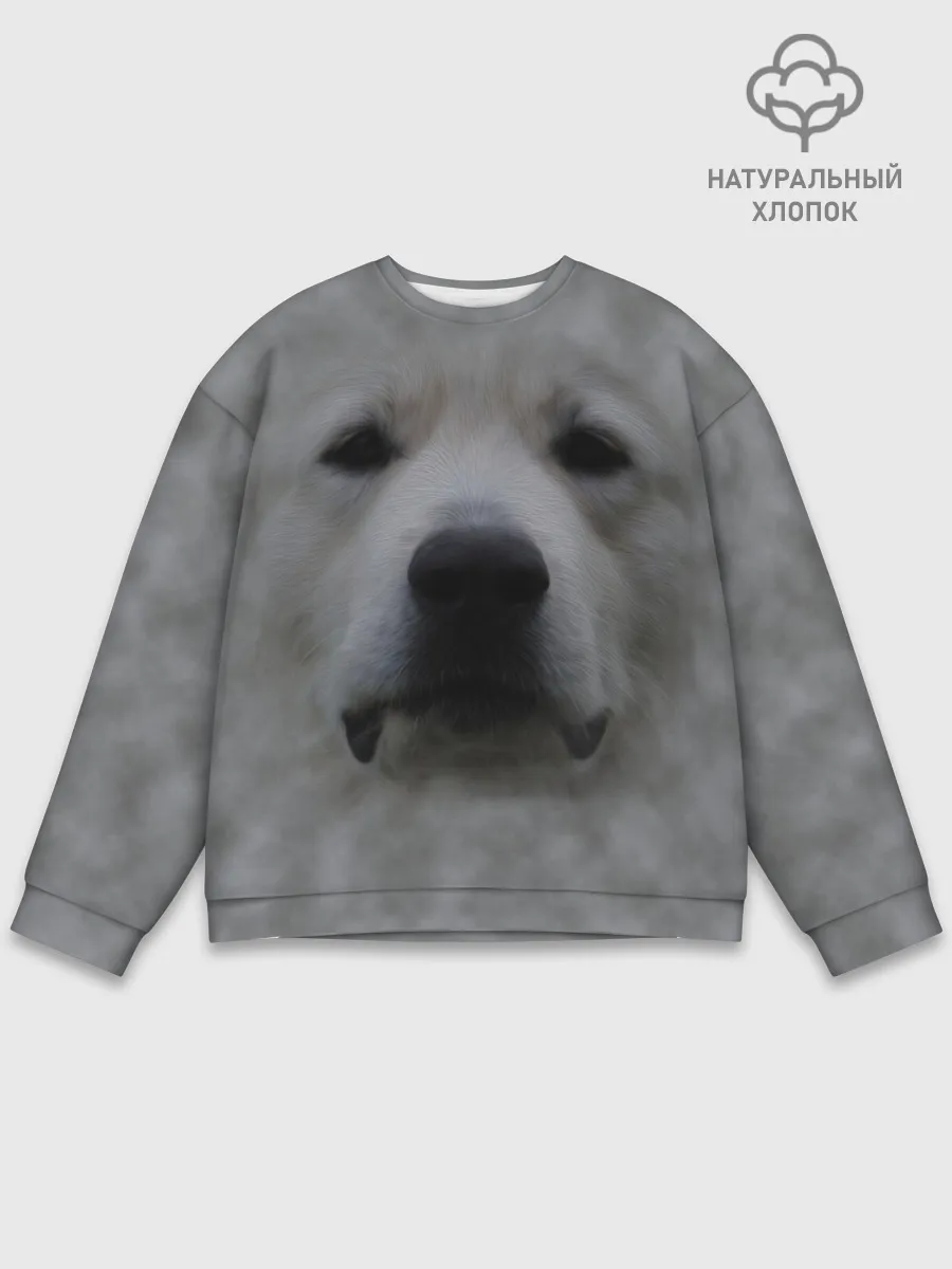 Мужской свитшот базовый / Лабрадор
