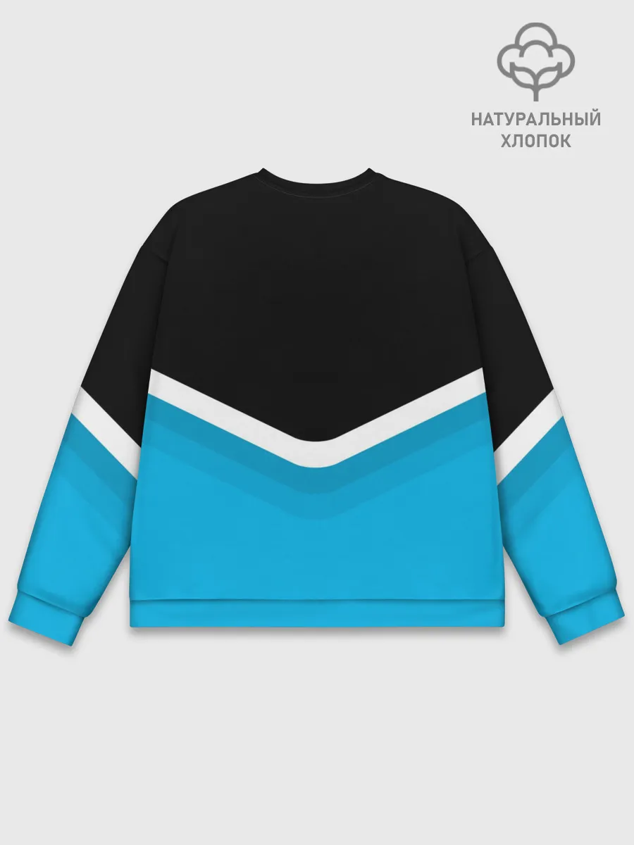 Мужской свитшот базовый / BMW Black & Blue