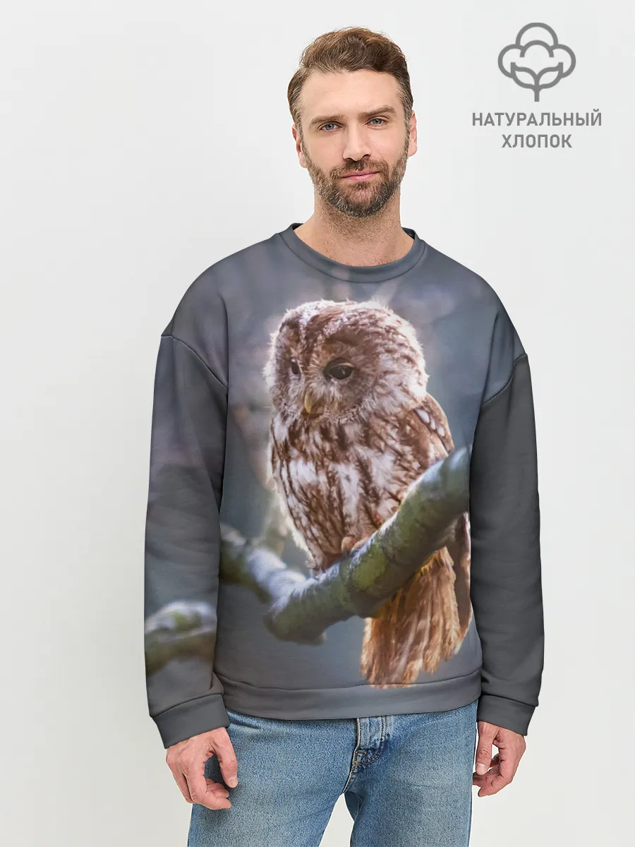 Мужской свитшот базовый / Сова