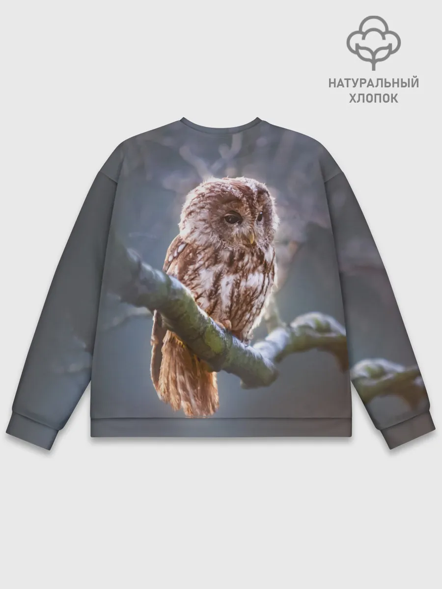 Мужской свитшот базовый / Сова