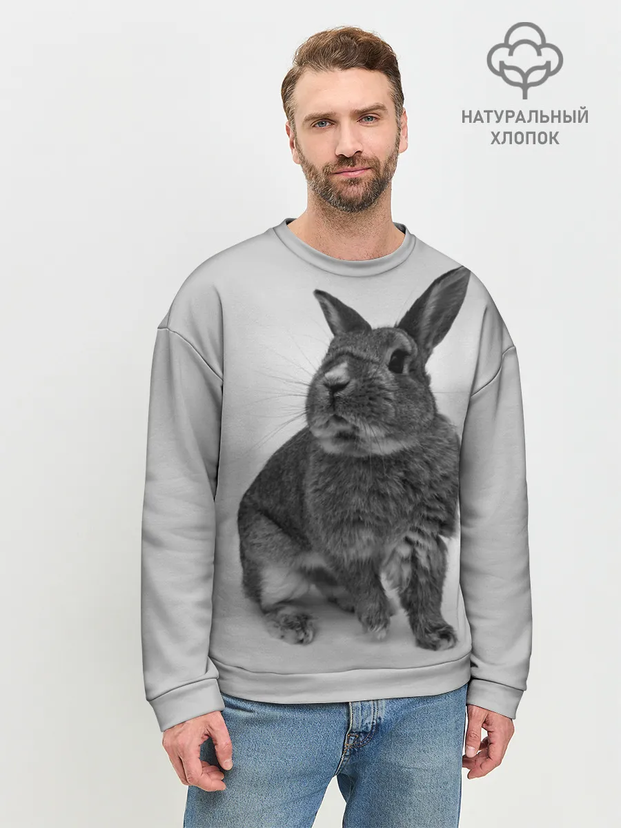 Мужской свитшот базовый / Кролик