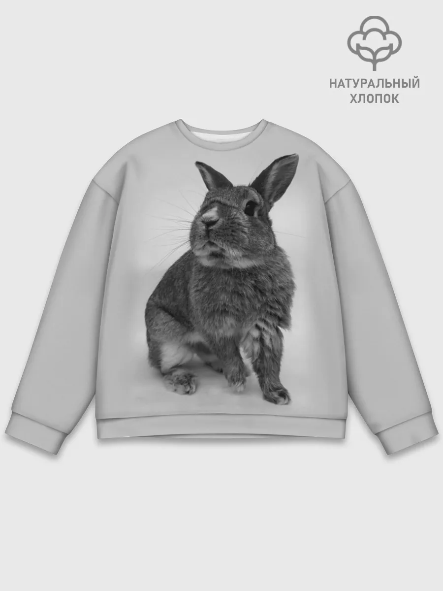 Мужской свитшот базовый / Кролик