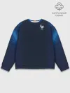 Мужской свитшот базовый / France home WC 2018